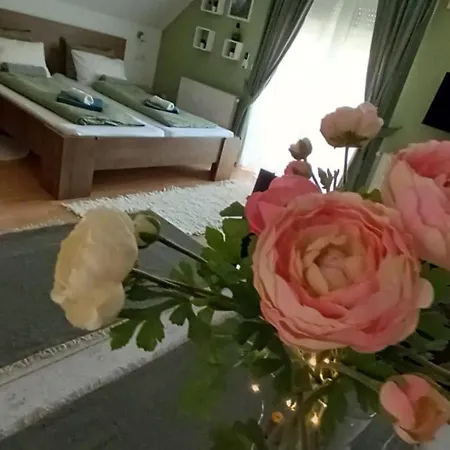 Apartament Elmira Héviz