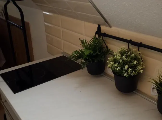 Elmira Appartement *