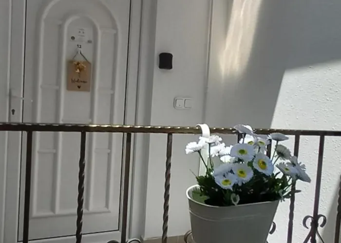 Appartement Elmira *